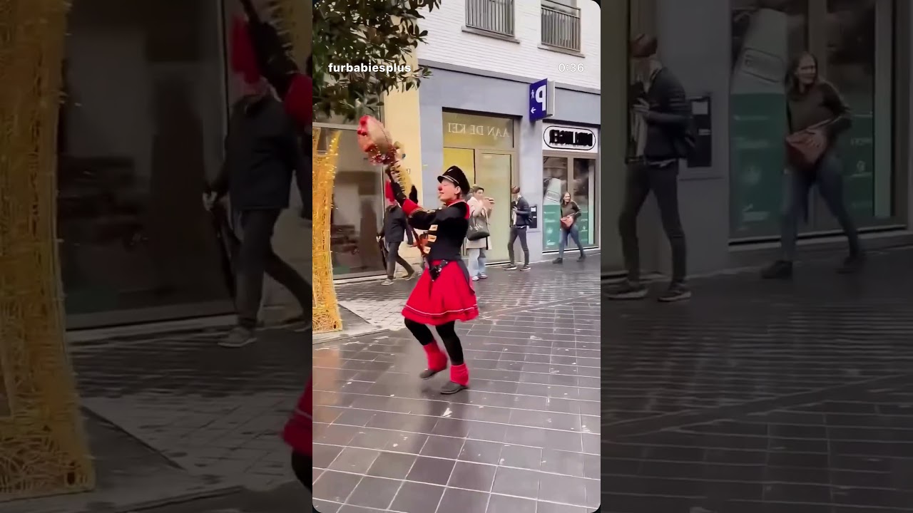 🤡🥁🥁🪿🪿🪿&ldquo;The Jocker&rsquo;s GEESE Parade&rdquo; 🪿🪿🎶✨ #streetmusic