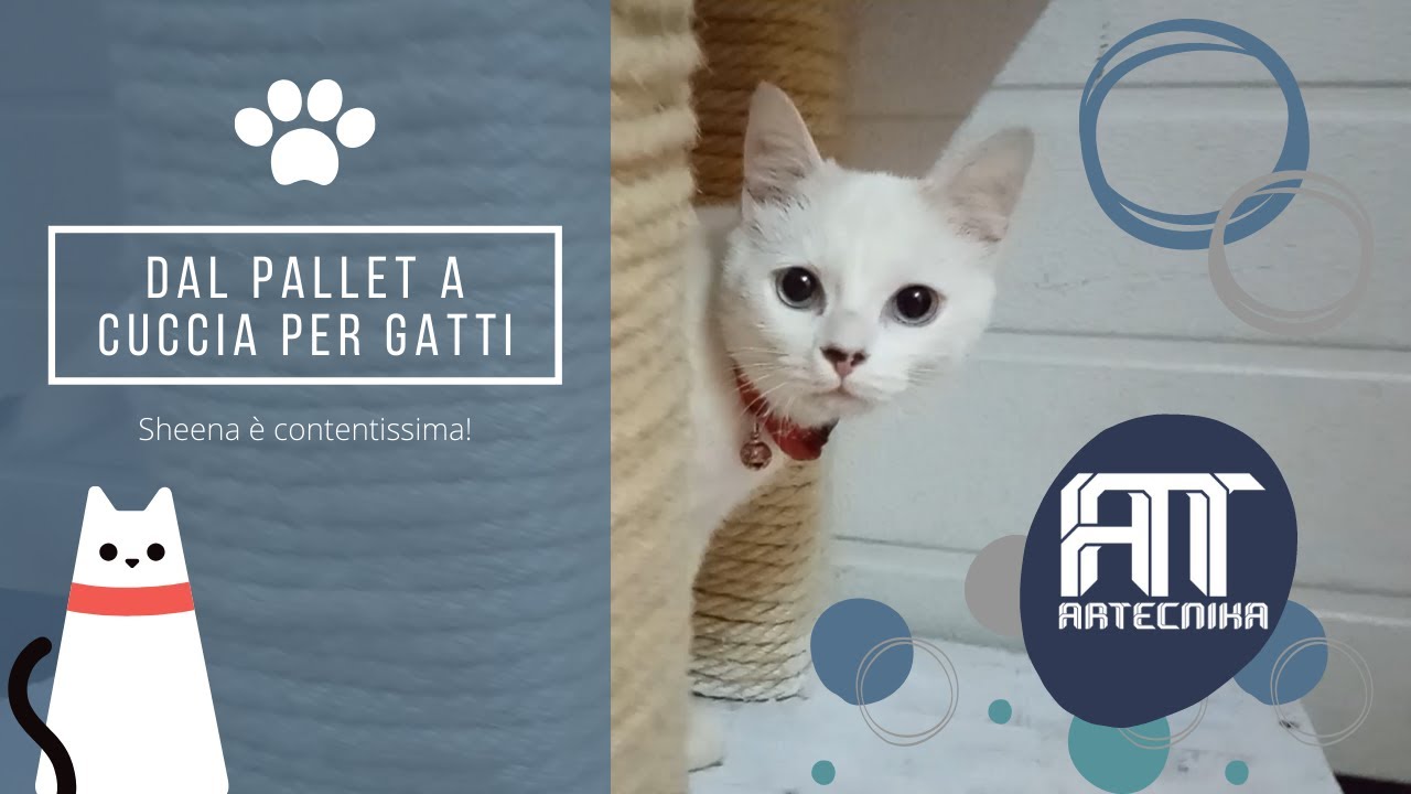 Dal pallet ad una cuccia per gatti - Artecnika