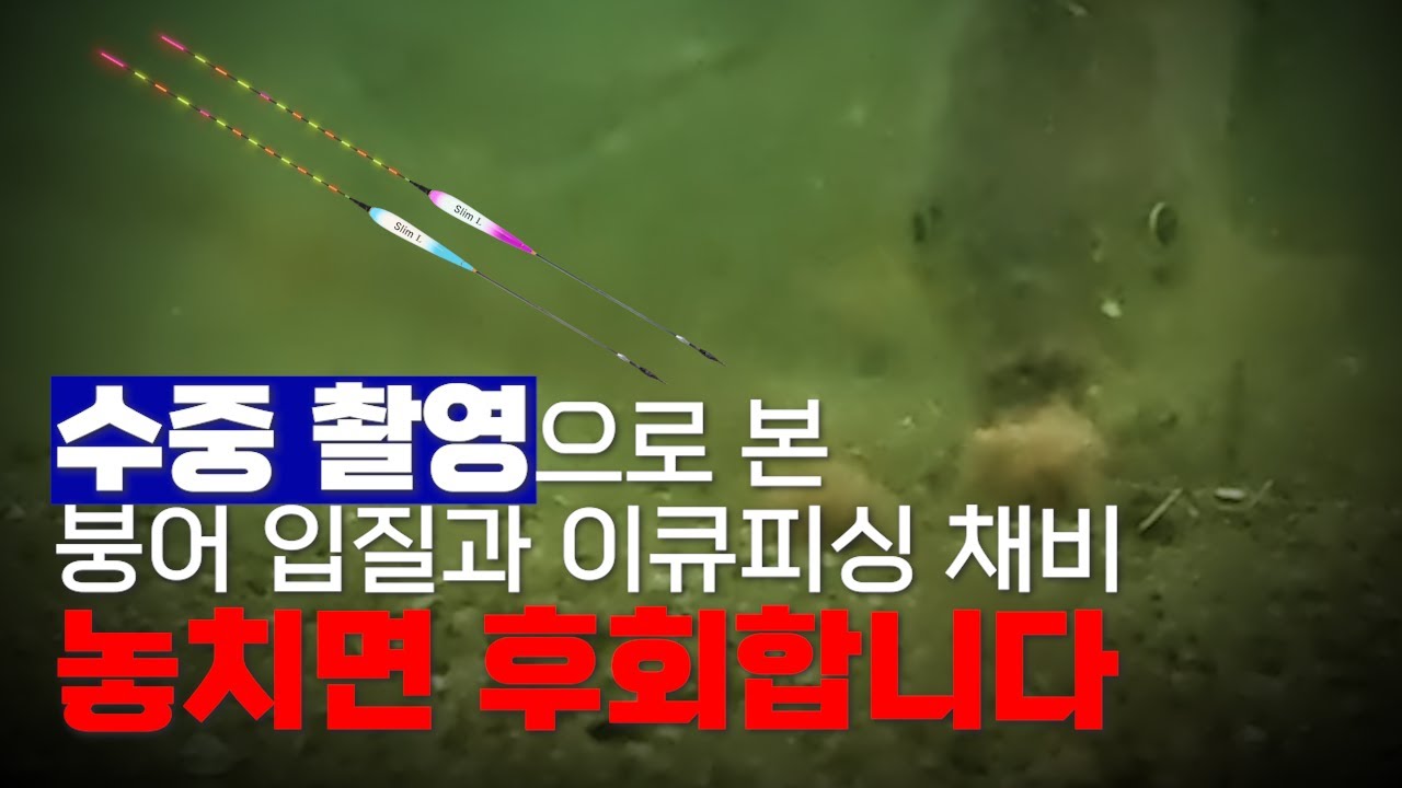 이큐피싱: 수중촬영으로 붕어들이 어떻게 먹이를 먹는지 채비는 어떻게 반응하는지 보실래요?