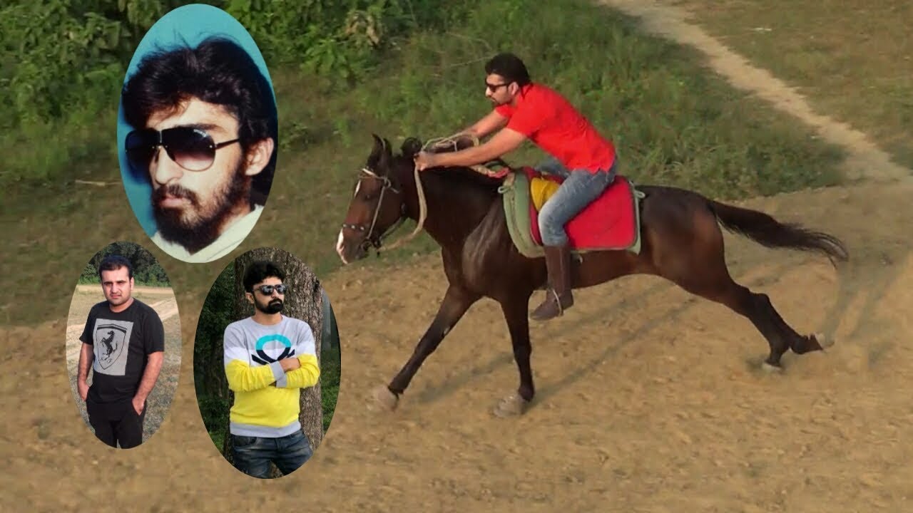 SHORT DOCUMENTARY ON GAUS KHAN HORSE AND CARE INDIAN HORSE BHADARI RACE