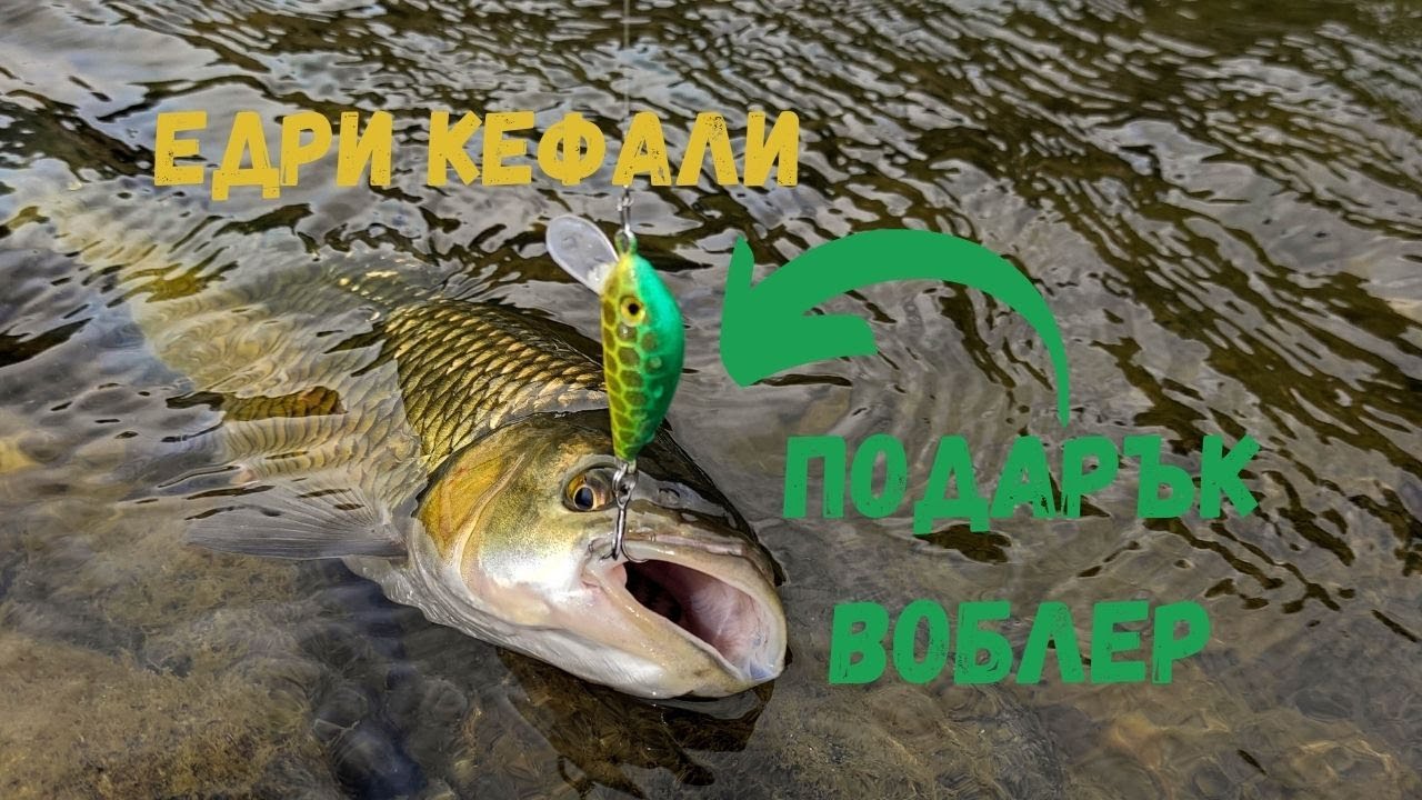 Спининг Риболов на Големи Кефали+ ПОДАРЪК воблера от Видеото!!!