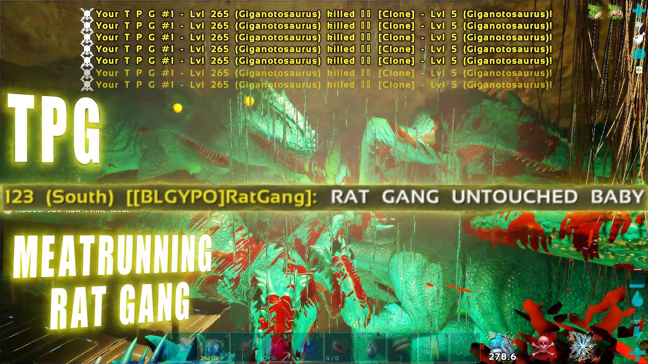 RAT GANG UNTOUCHED BABY | Wiu Wiu/TPG | ARK Official PvP