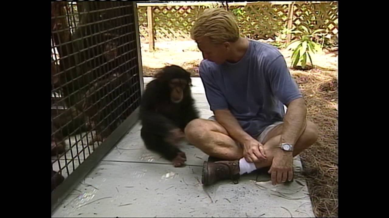 Fl ape rescue