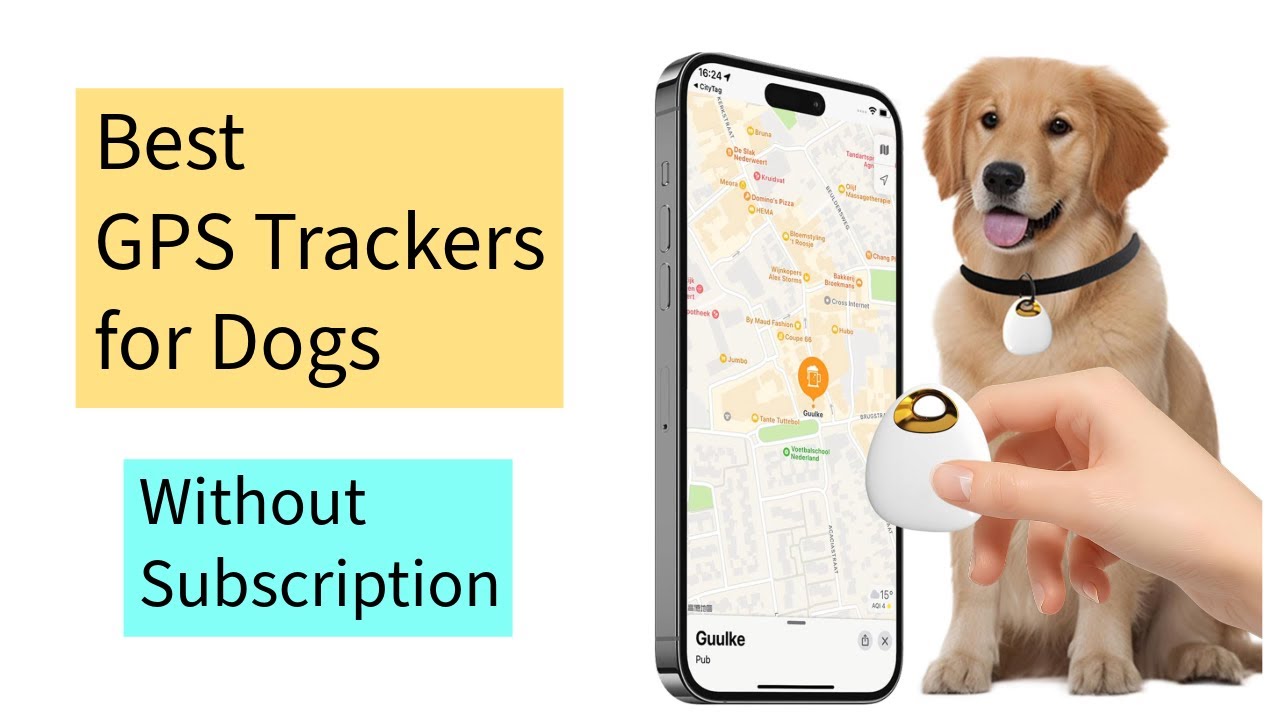 GPS Trackers for Dogs Without Subscription