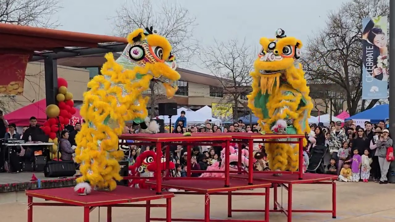 Lion Dance 2026 Lunar New Year District 56 Elk Grove California 1of 2