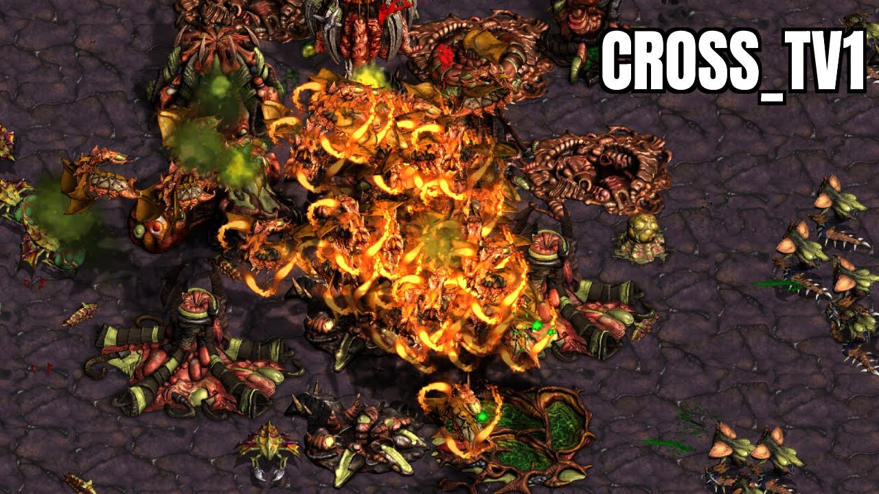 BEST Game of the Month!! | Starcraft Remastered Fastest Map 2022