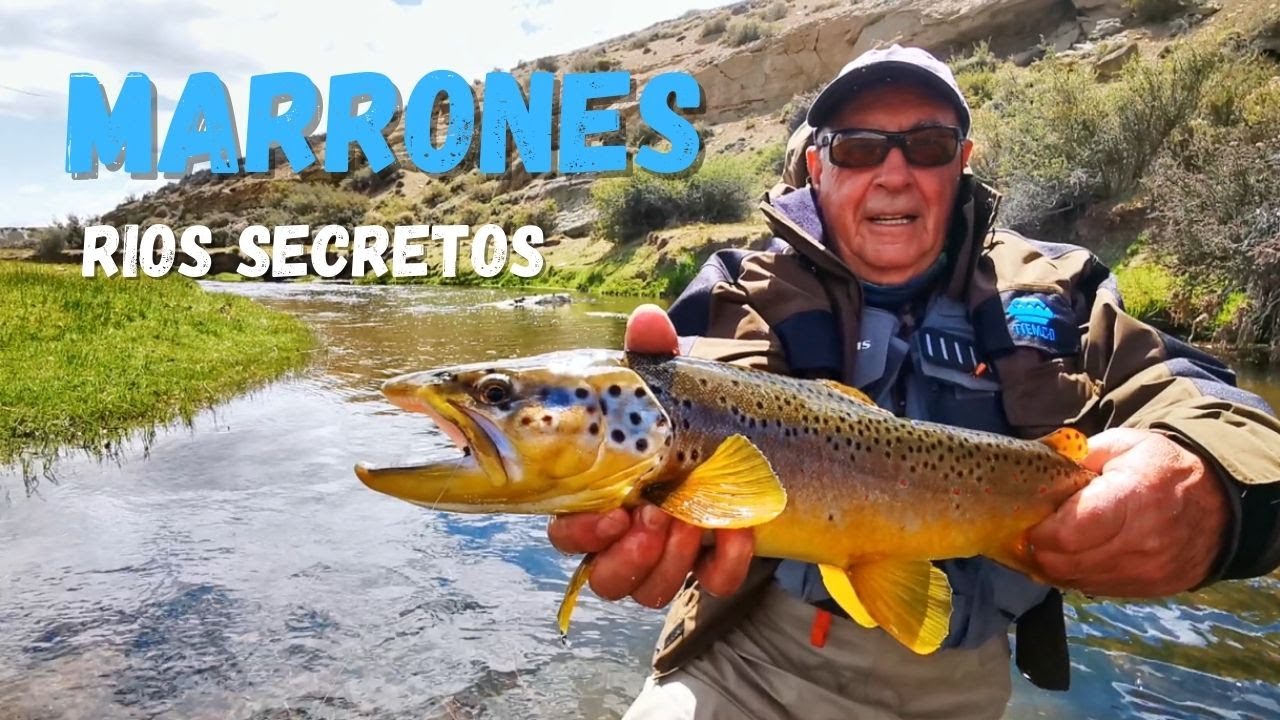 Pesca de Truchas Marrones en R&iacute;os SECRETOS de la PATAGONIA