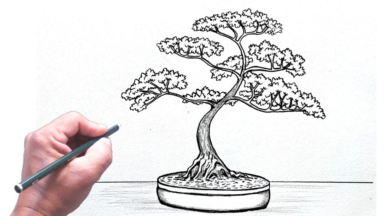 Árvore Desenho para desenhar e colorir uma Árvore Bonsai