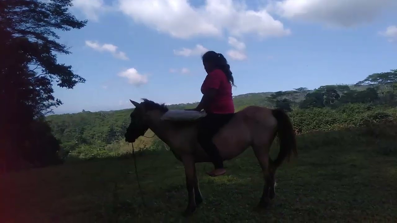 Riding with exhibition