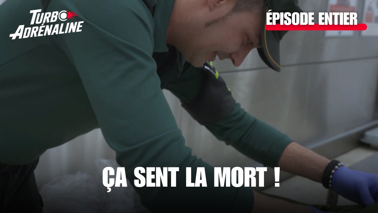 Couple furieux à Rome : la douane face à une crise ! |Au cœur des douanes: destination Europe