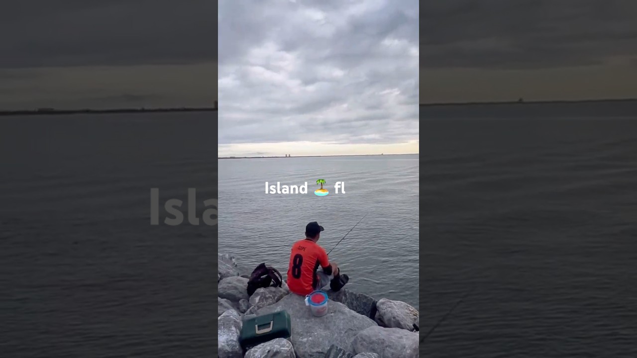 Island🎣 
