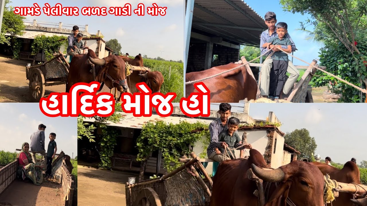 મમ્મી જલદિઆય આપડે બળદ 🐂ગાડીમાં જાવાનુ 👍🥰
