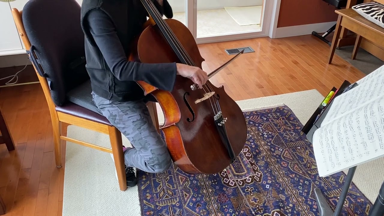 Bohemian Student Cello - Sound Sample