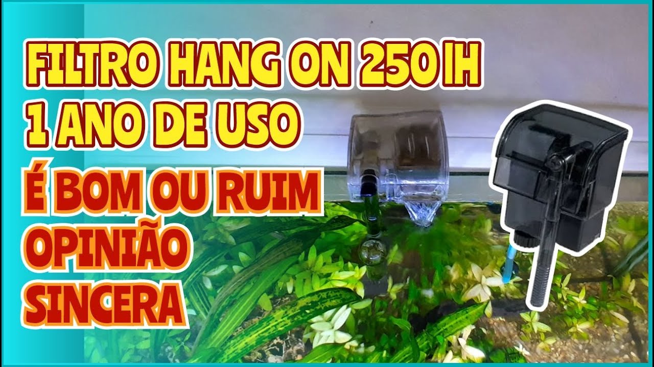 Filtro Hang on 250 lh 1 ano de uso opinião sincera.