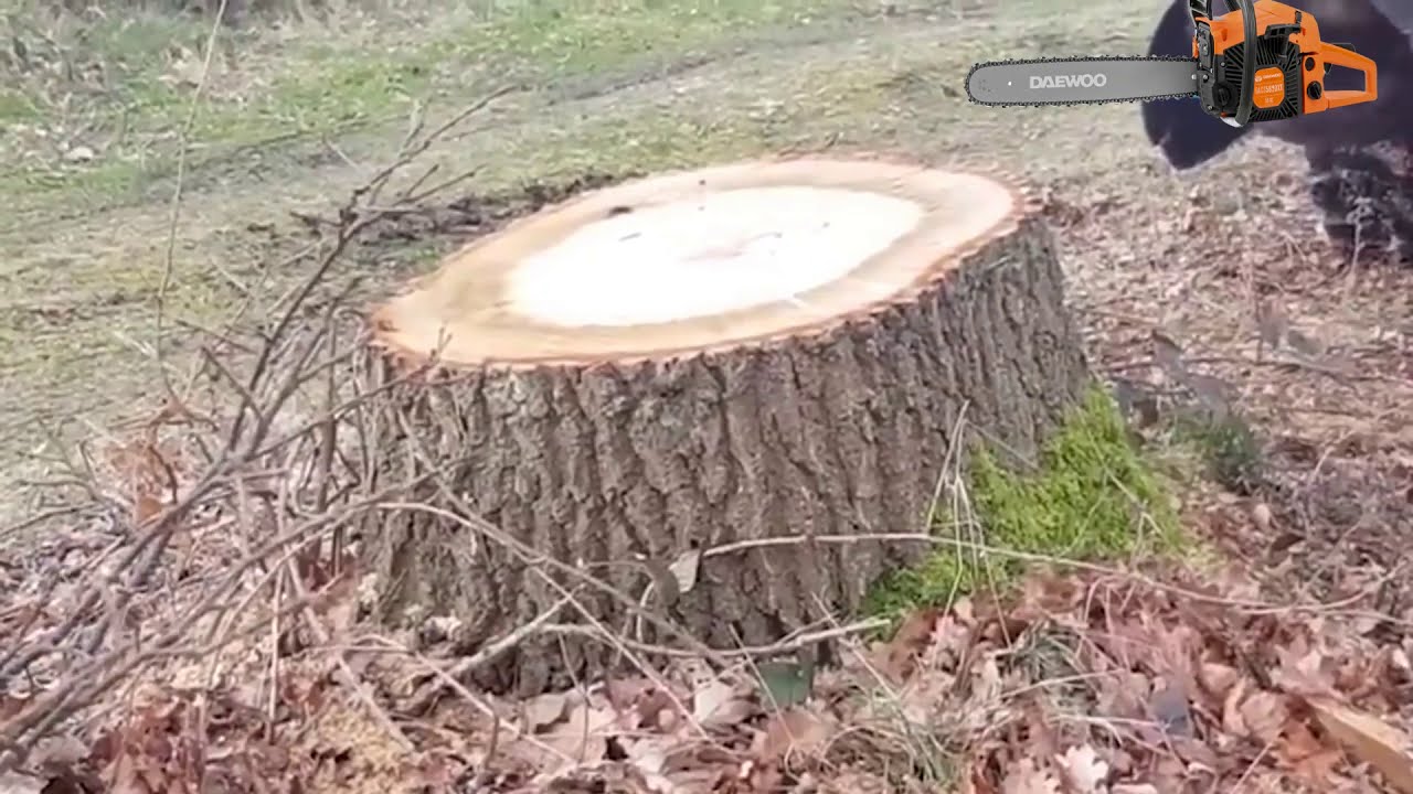 Espectaculares y modernas cortadoras de madera jamas vistas. Increibles aserradoras.