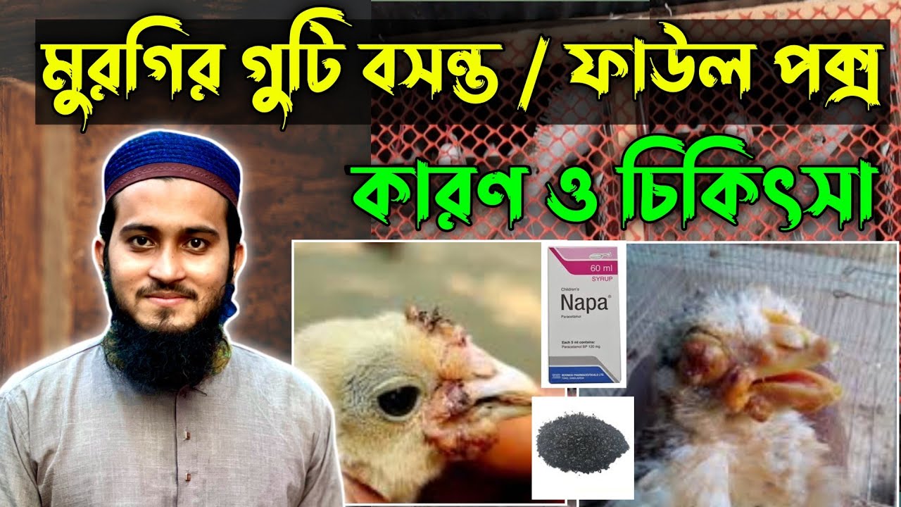 মুরগির বাচ্চার গুটি বসন্ত রোগের চিকিৎসা | murgir guti bosonto | Murgi Palan | Desi Murgi Palan
