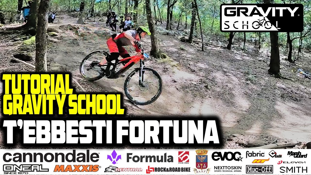 Tutorial Gravity School - T'ebbesti fortuna