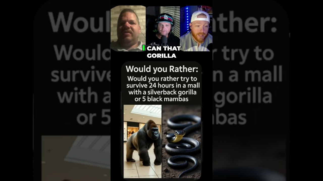 Would You Rather: 24 Hours in a Mall with a Gorilla or Black Mambas🐍🦍 #shorts