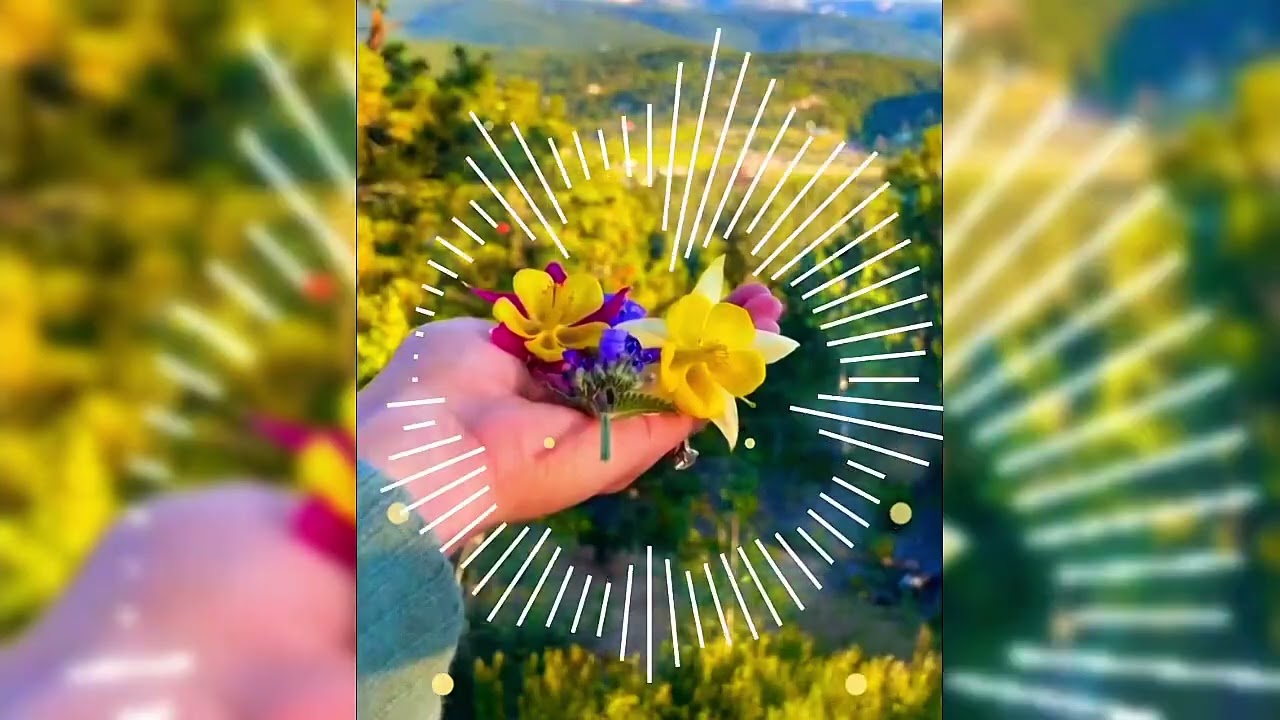 Dükan Bazar Bağlıdı Hardan Alım Darçını Çay İsteyen Gonaxtı