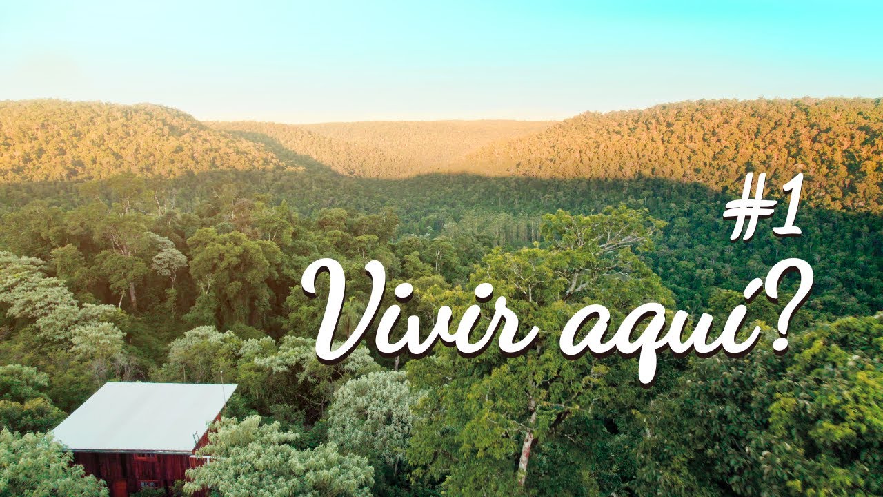 NOS ATREVEMOS a DEJAR LA CIUDAD por una VIDA SIMPLE y AUTOSUFICIENTE en la SELVA