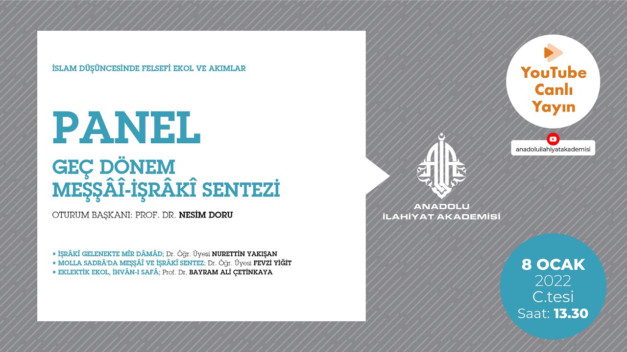 PANEL VIII - 