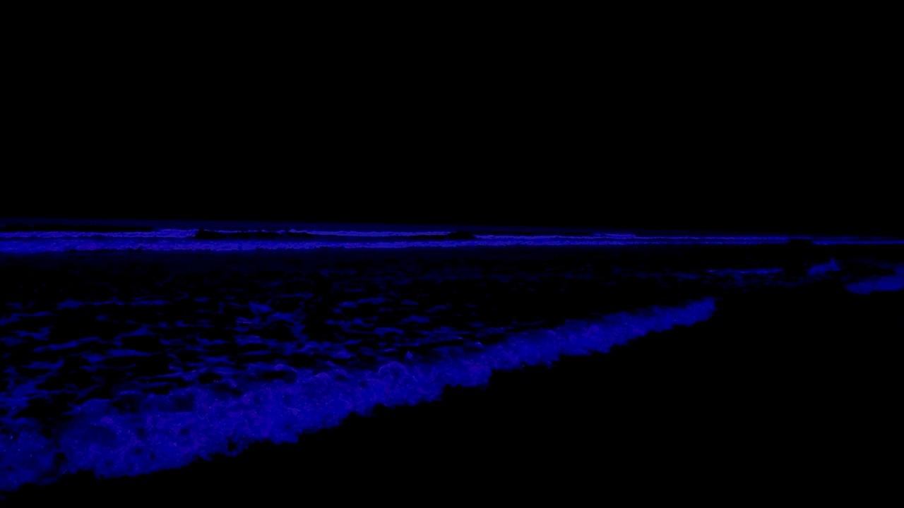 (No Ads) Instant Deep Sleep &bull; Soothing Waves In Quiet Night For Ocean Sounds & Fall Asleep Instantly