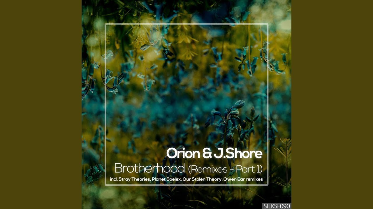 White Birds (Owen Ear Remix)