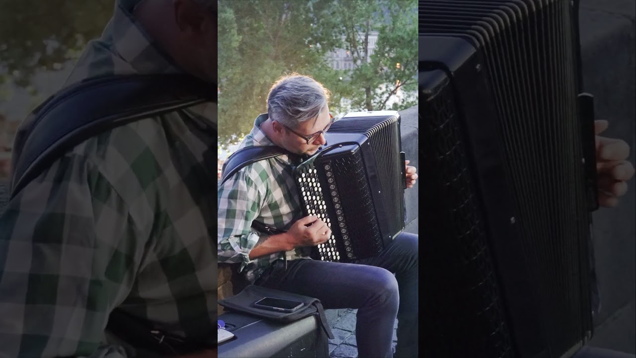 Accordion Music In the Streets of Prague. Charles Bridge