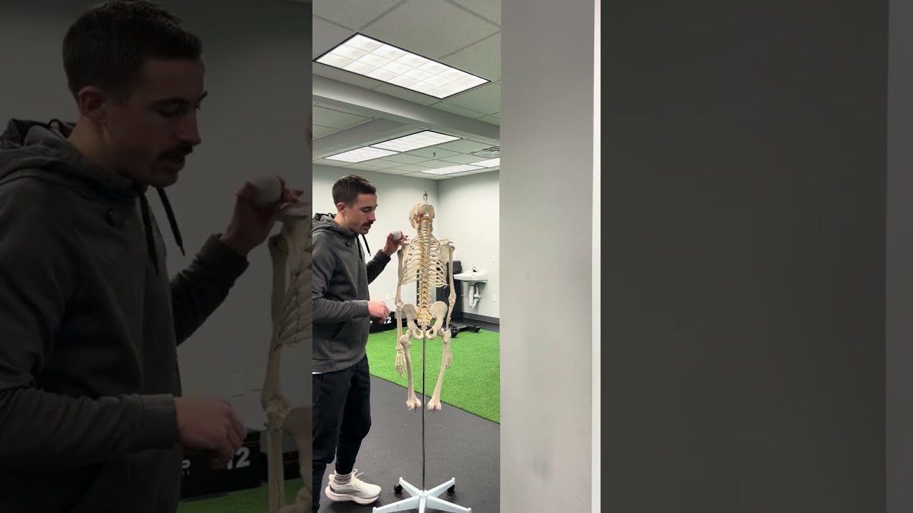 Lacrosse Ball: Lower Ribcage / Spine