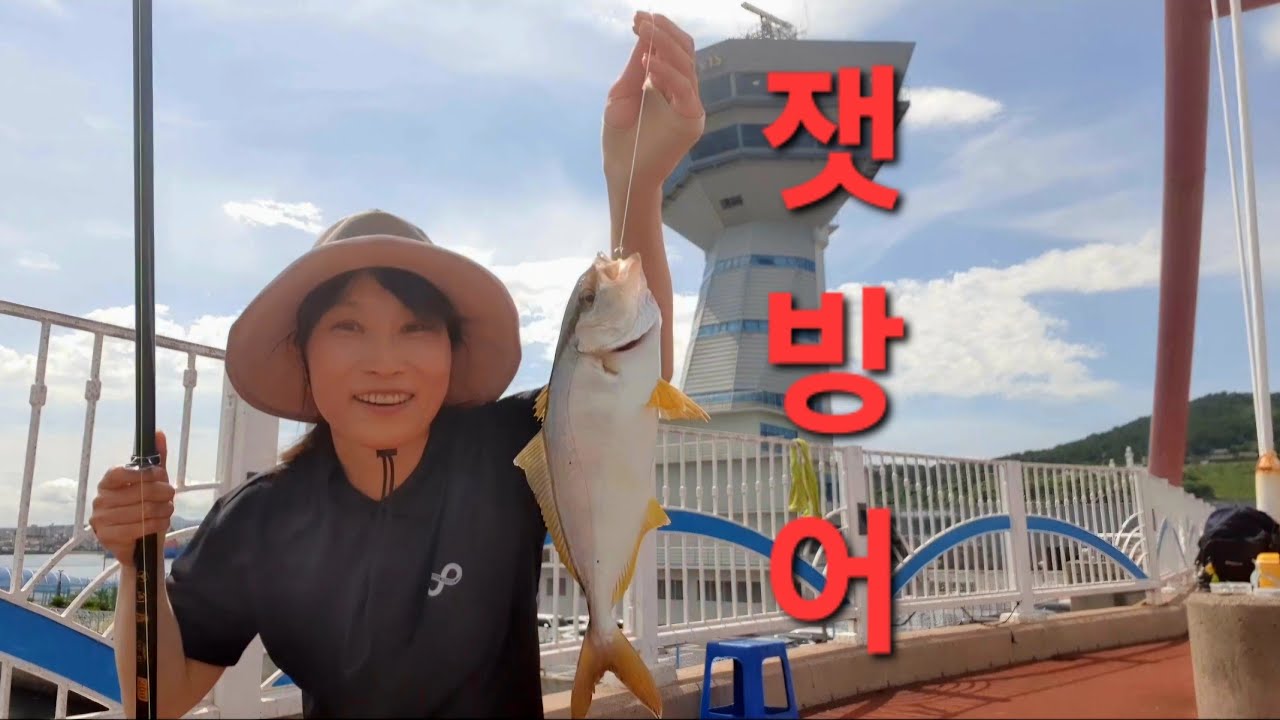 #제주바다 #제주낚시 #동부두 #잿방어
