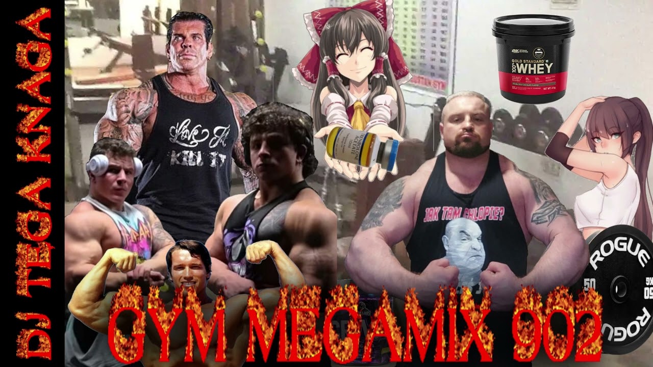 GYM MEGAMIX 902 *PR SAM SIE WYPIERDALA*