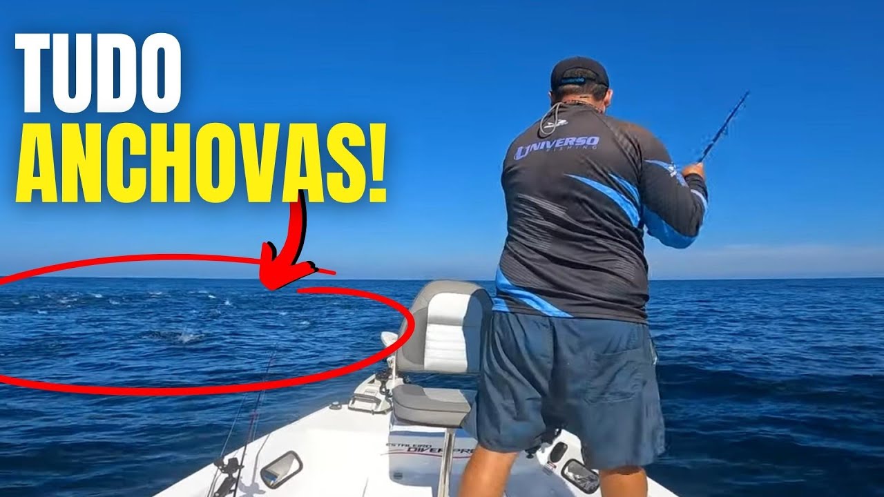 Esse PONTO é o PARAÍSO pra PESCAR ANCHOVAS! Parte 2