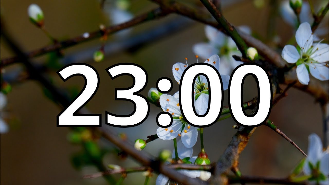 23 Minutes Timer with Relaxing Music | Cherry Blossom Timer
