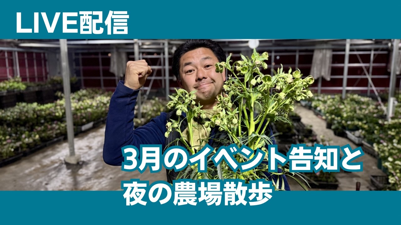 3月のイベント告知と夜の農場散歩