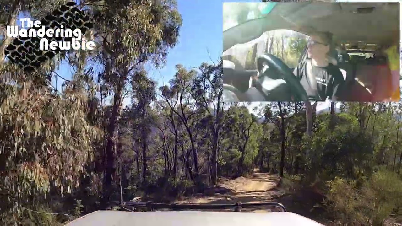 Axe Track - Goulburn SF - Victoria