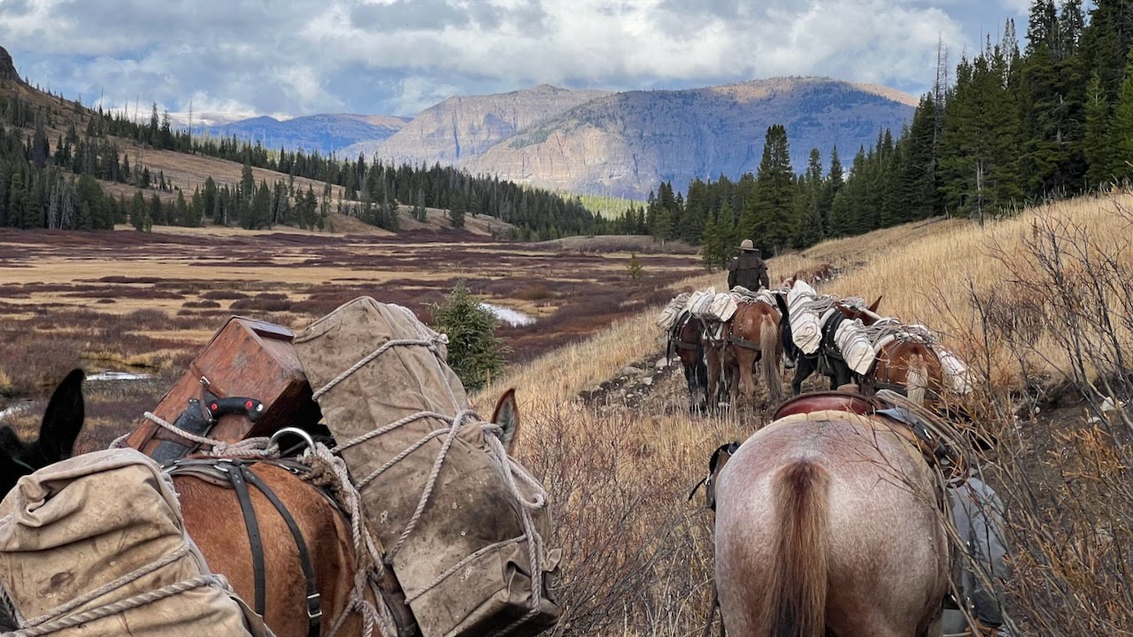 Title: Horses, Mules, and Mountains: in the Bridger Teton Wilderness