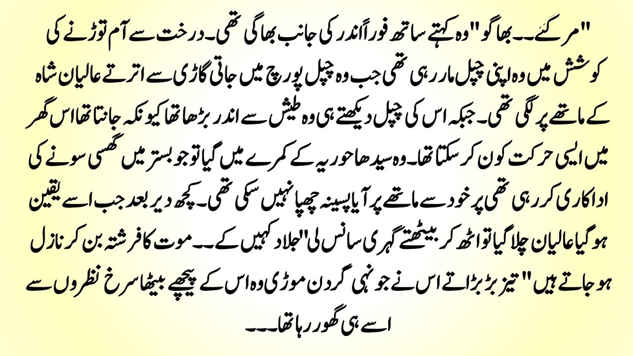 Urdu Novel 
