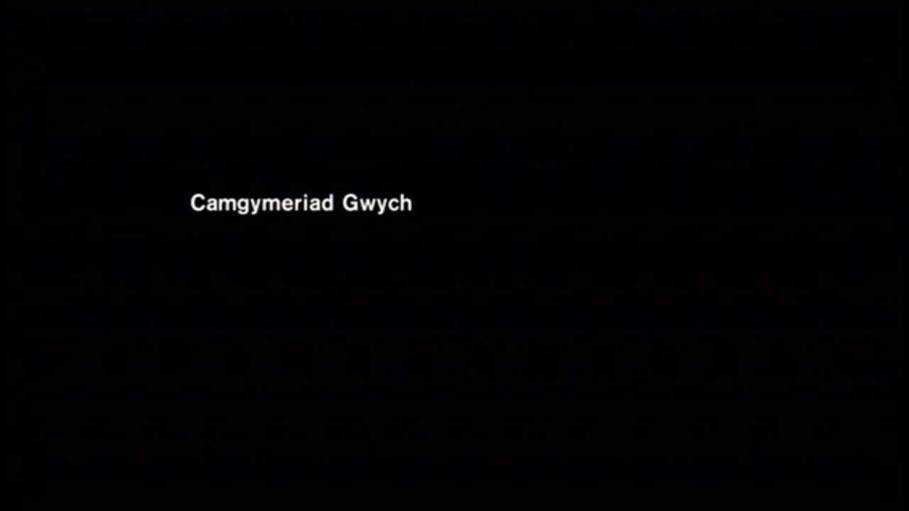 Camgymeriad Gwych (Beautiful Mistake)