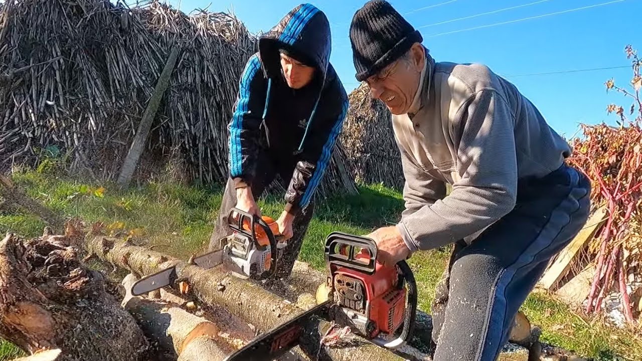 Nea Milan la tăiat de lemne!