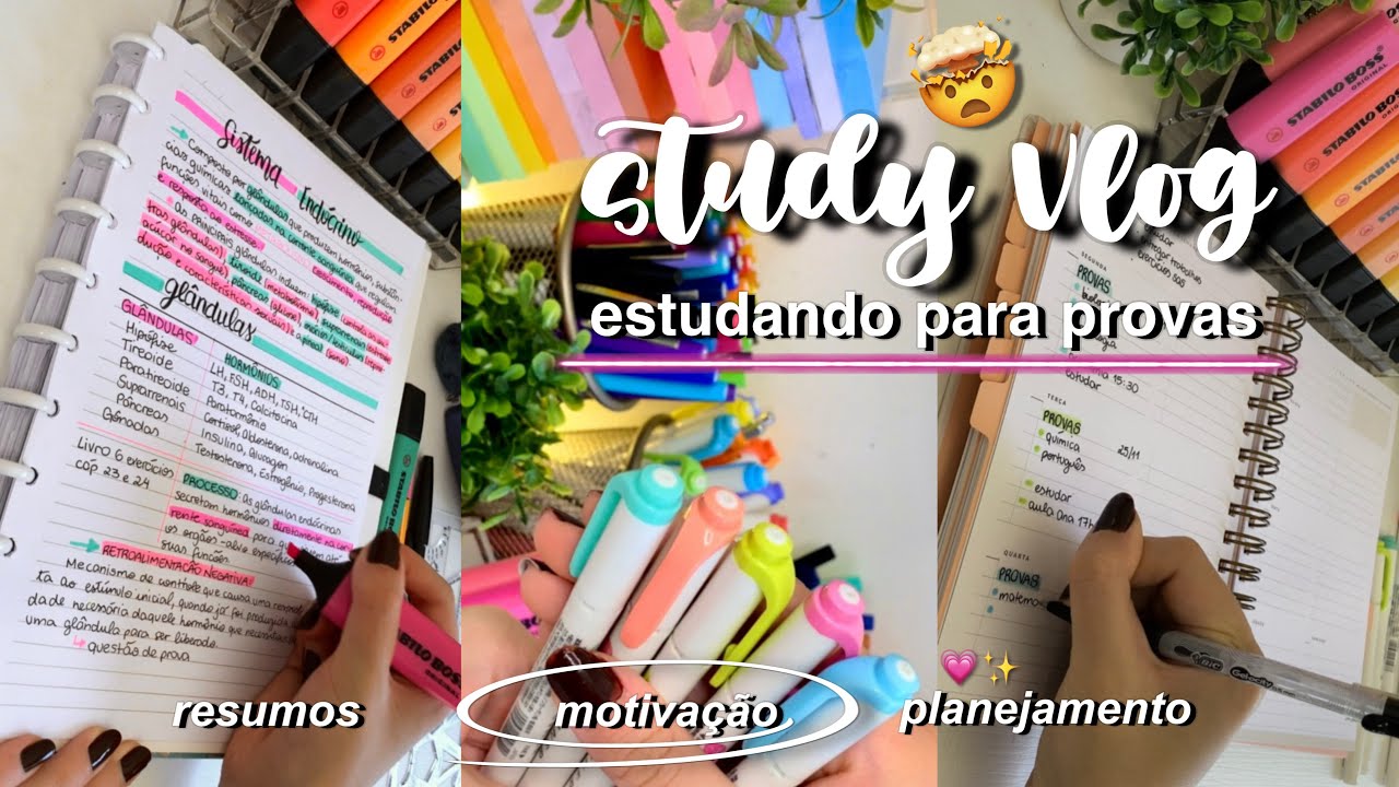 STUDY VLOG Produtivo | Estudando para Provas (narrado) Estude Comigo!