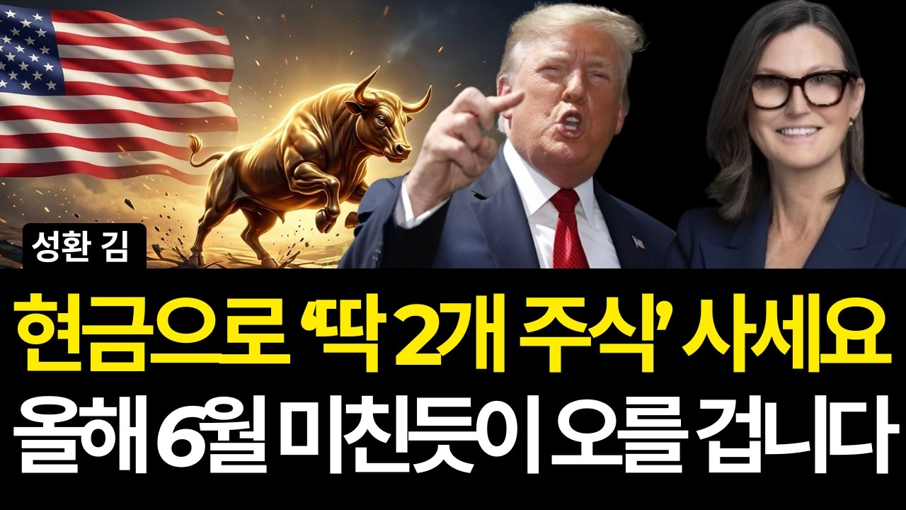현금으로 '딱 2개 주식' 사세요 올해 6월 미친듯이 오를 겁니다 (배당/GE버노바/어플라이드머티리얼즈/마이크론/샌디스크/서클/써클/로빈후드/쿠팡/팔란티어/어도비/루멘텀/메타)