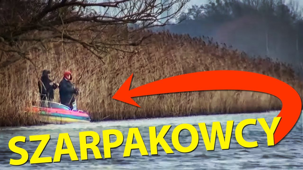 Drop Shot - metoda na leniwe okonie i sandacze
