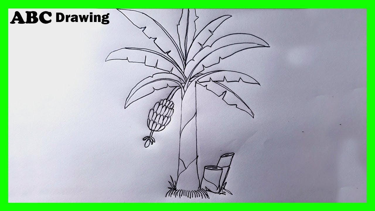 Banana Tree Drawing | Drawing For Beginners | Easy And Beautiful Kids Drawing