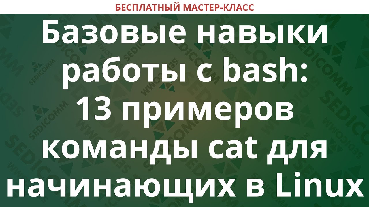 Базовые навыки работы с bash 13 примеров команды cat в Linux