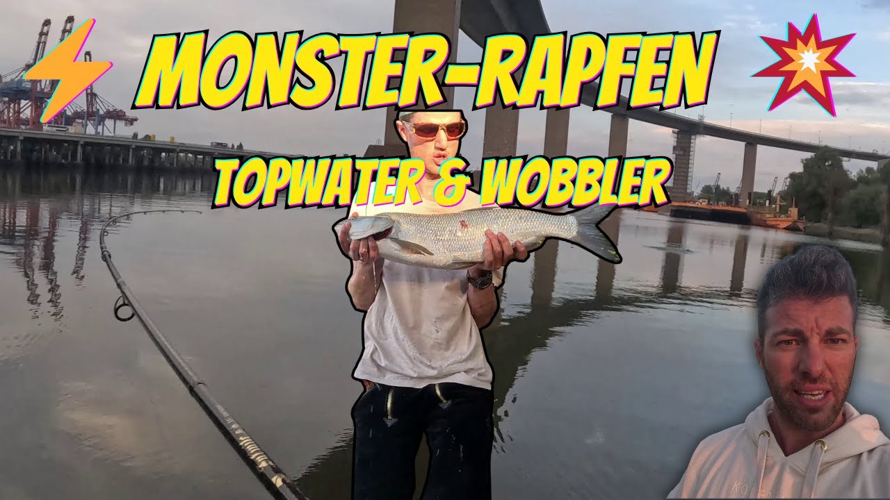BOOM! Monster-Rapfen an der Elbe Hamburg 💥 Biss auf Topwater! Temu Plopper & Wobbler bringen Fisch!