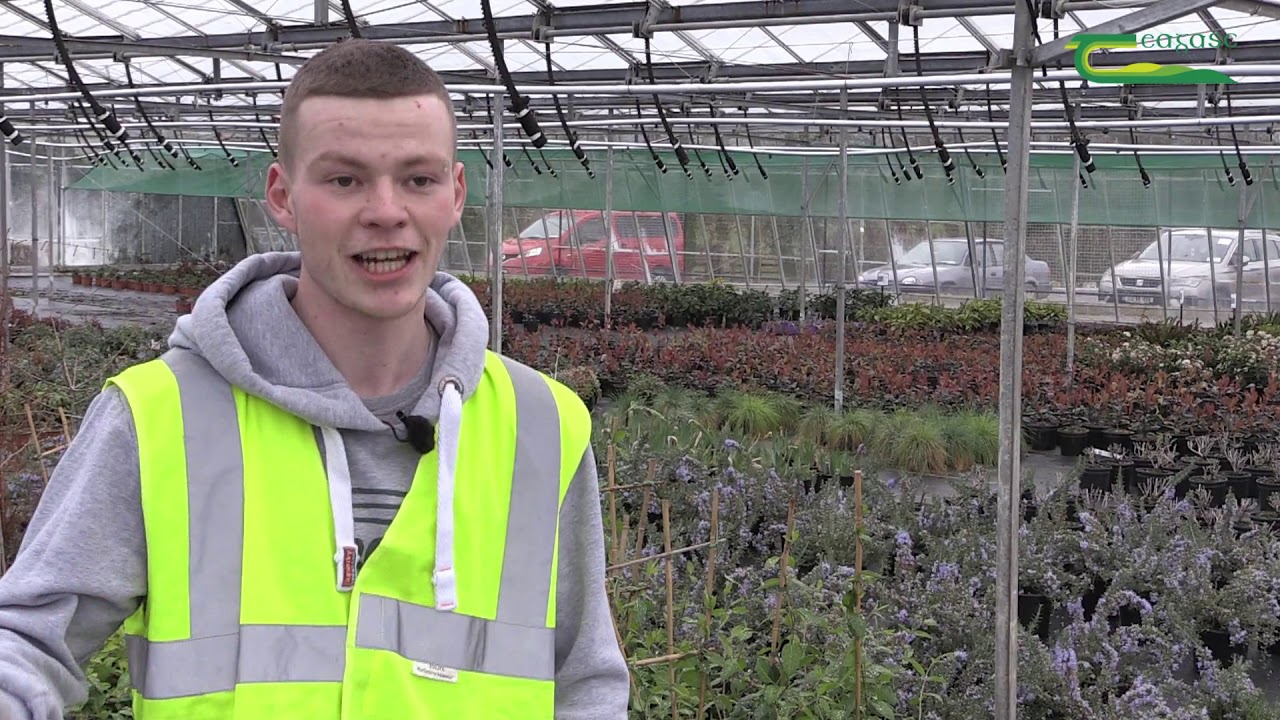Paul Merrigan - Teagasc Horticulture Student