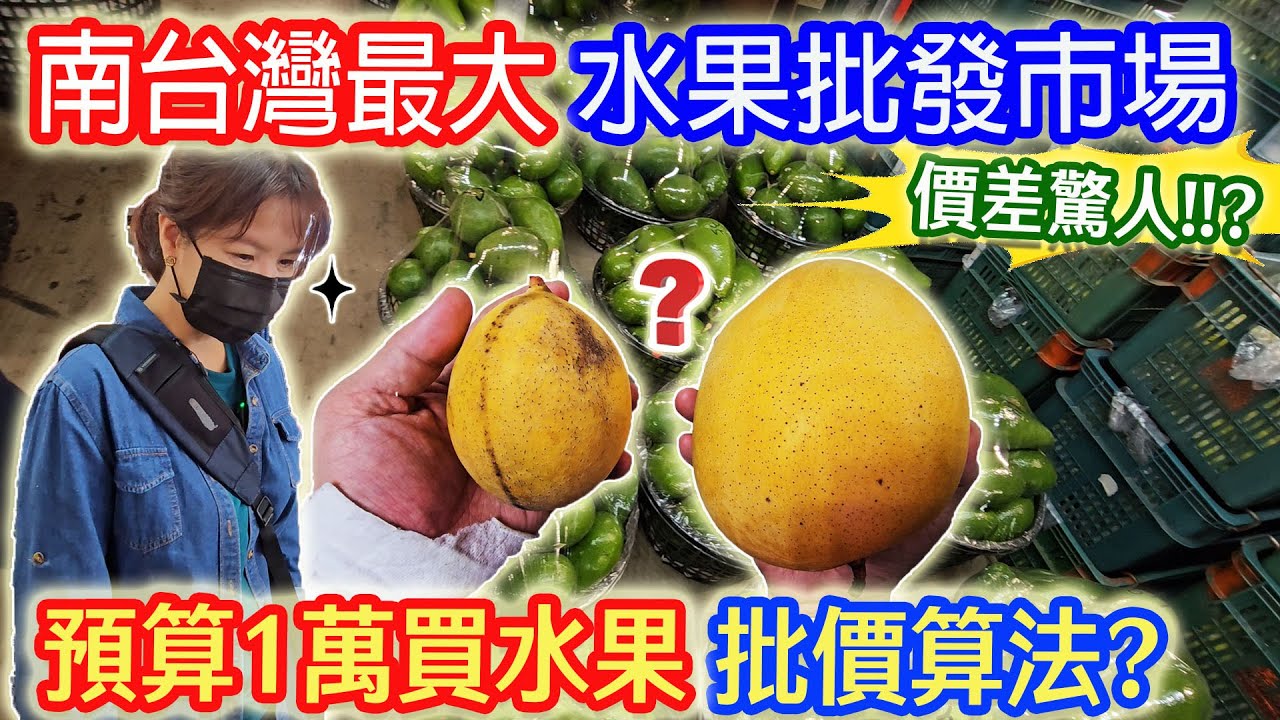 價差好驚人! 零售批發竟差4倍! 大顆反而更便宜!! 批發價的算法 預算10000元南台灣最大水果批發市場買水果 ｜乾杯與小菜的日常