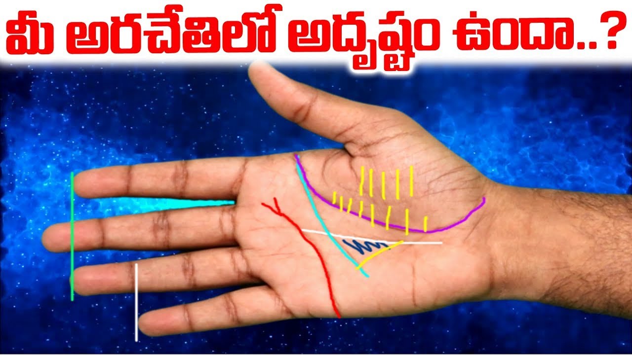 మీ అరచేతిలో అదృష్టం ఉందా | Palmistry Reading in Telugu Money Traingle | Sri Bhakti Telugu