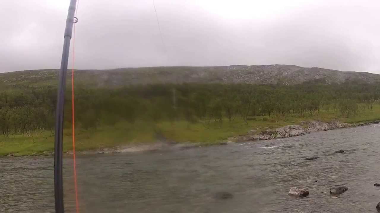 laksefiske i laggo