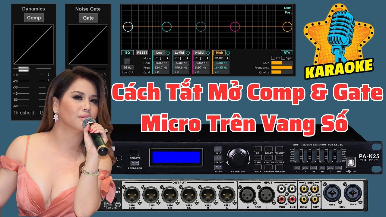 Cách Bật Tắt Comp Và Gate Micro Trên Vang Số
